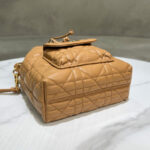 Christian Dior Small Dior Caro Bucket Bag M3372